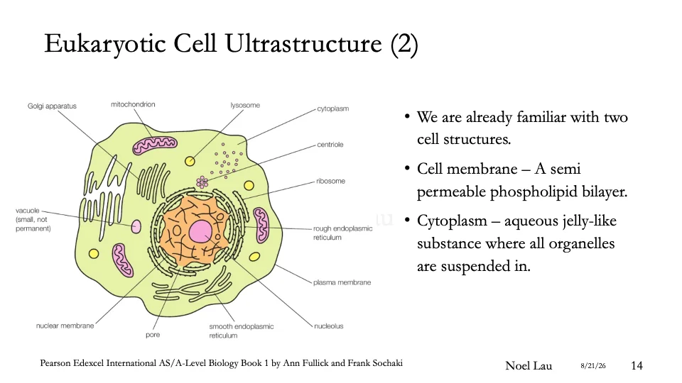 Slide 14