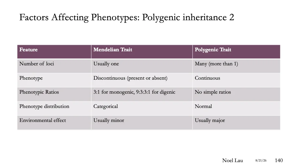 Slide 140