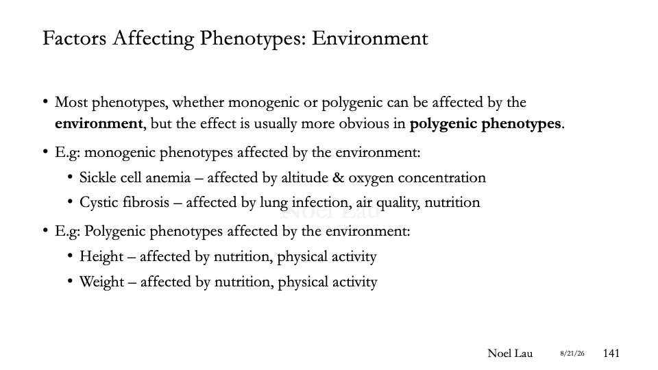 Slide 141
