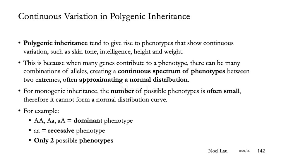 Slide 142