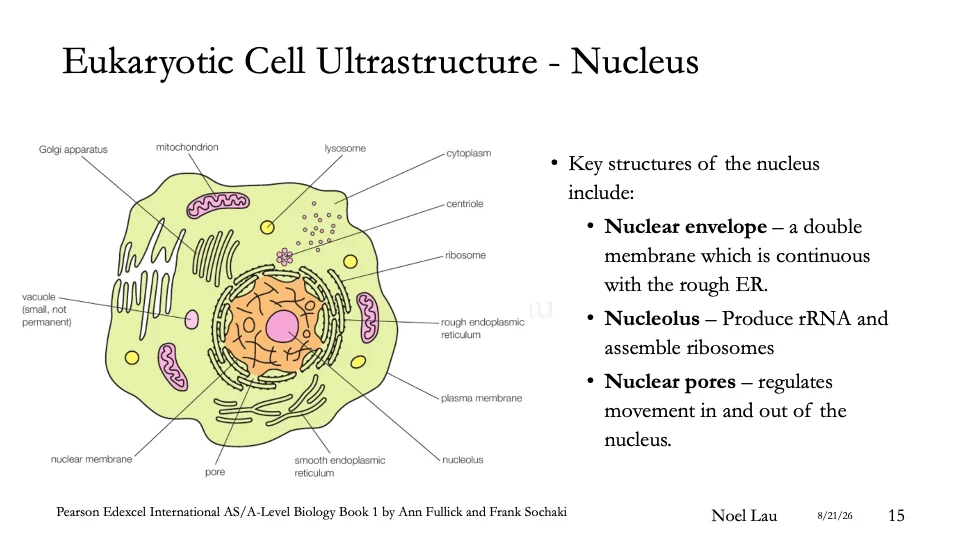 Slide 15