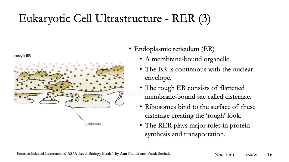 Slide 16