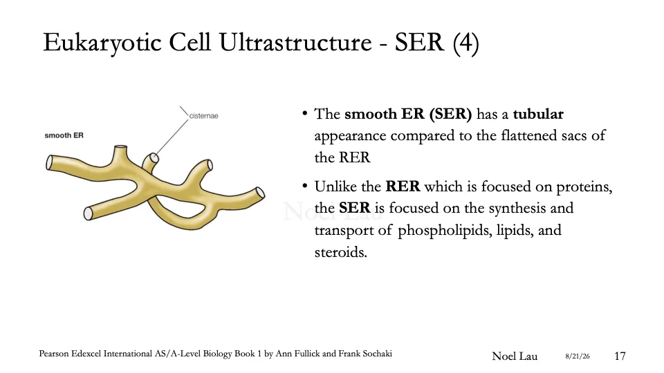Slide 17