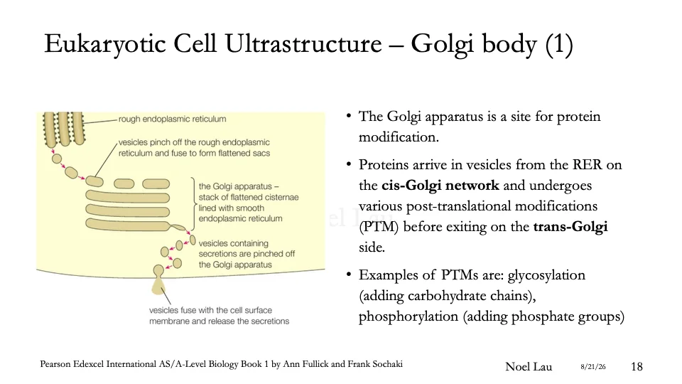 Slide 18