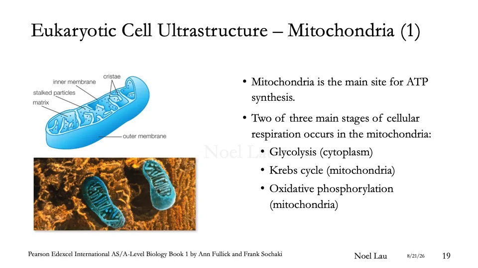 Slide 19