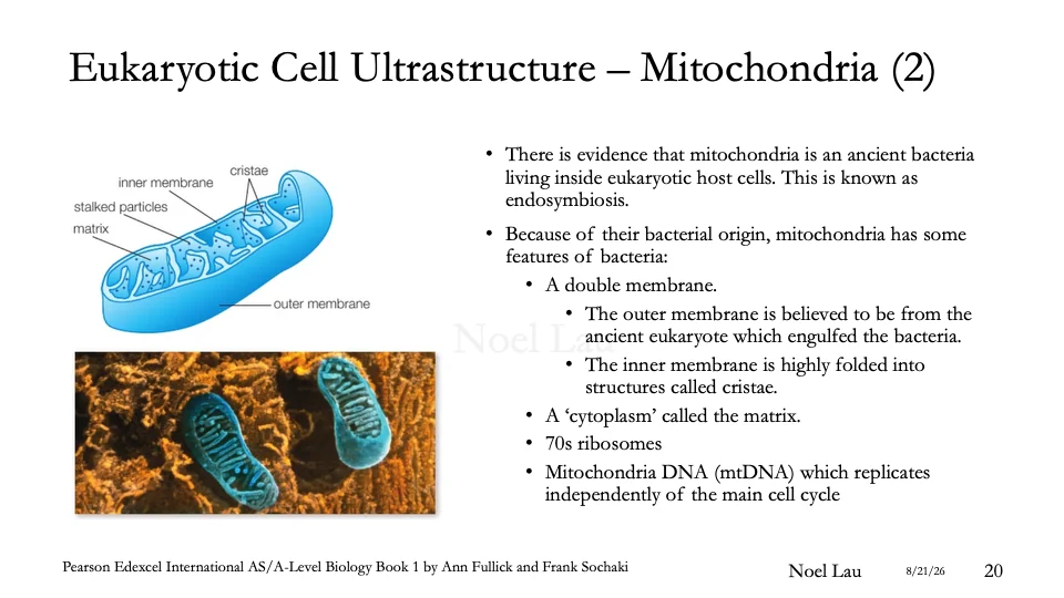 Slide 20
