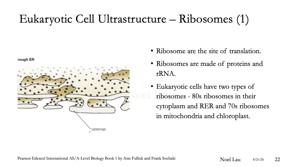 Slide 22