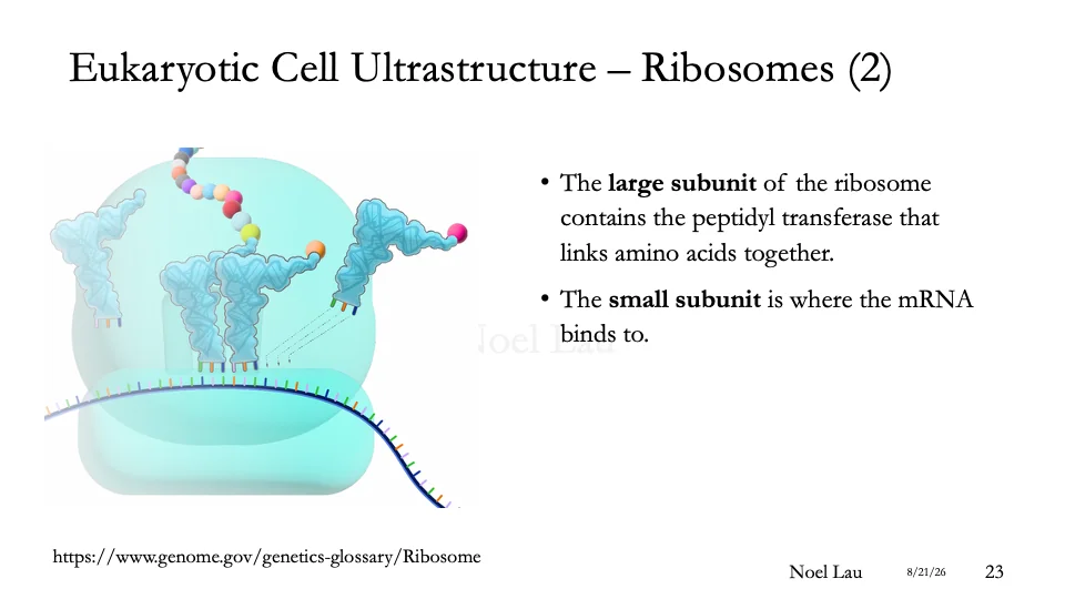 Slide 23