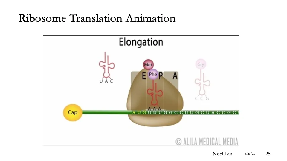 Slide 25