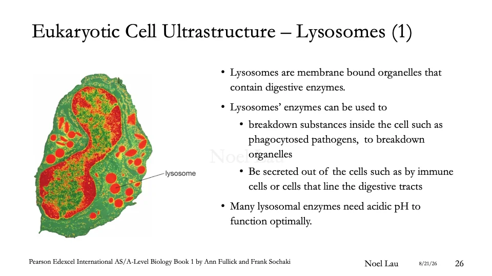 Slide 26