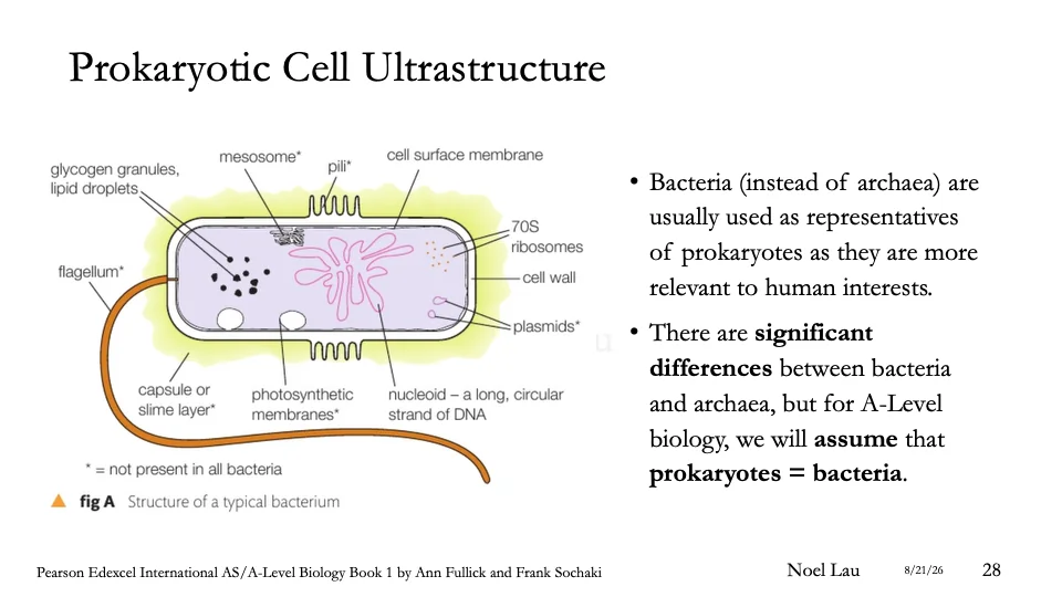 Slide 28
