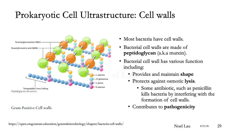 Slide 29