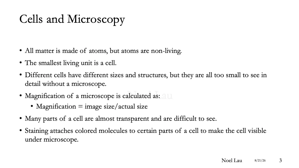 Slide 3