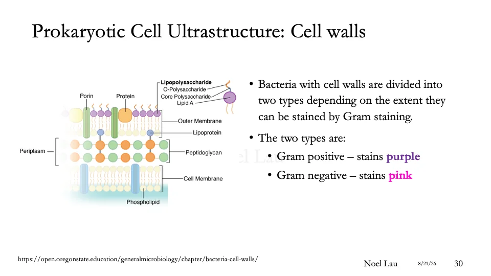 Slide 30