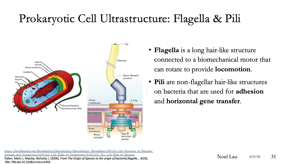 Slide 31