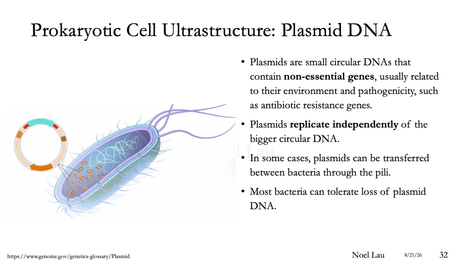 Slide 32