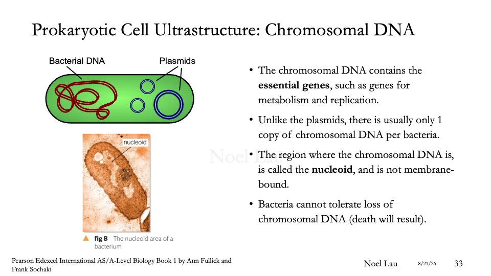 Slide 33