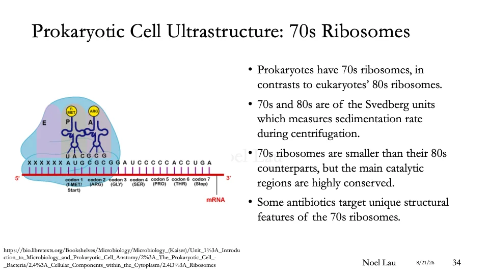 Slide 34