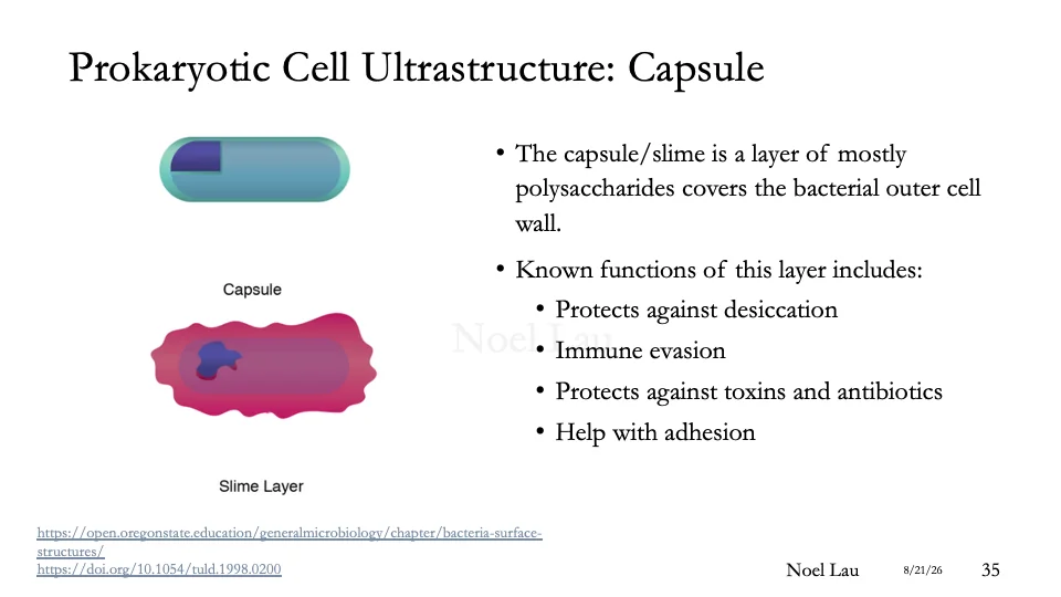 Slide 35