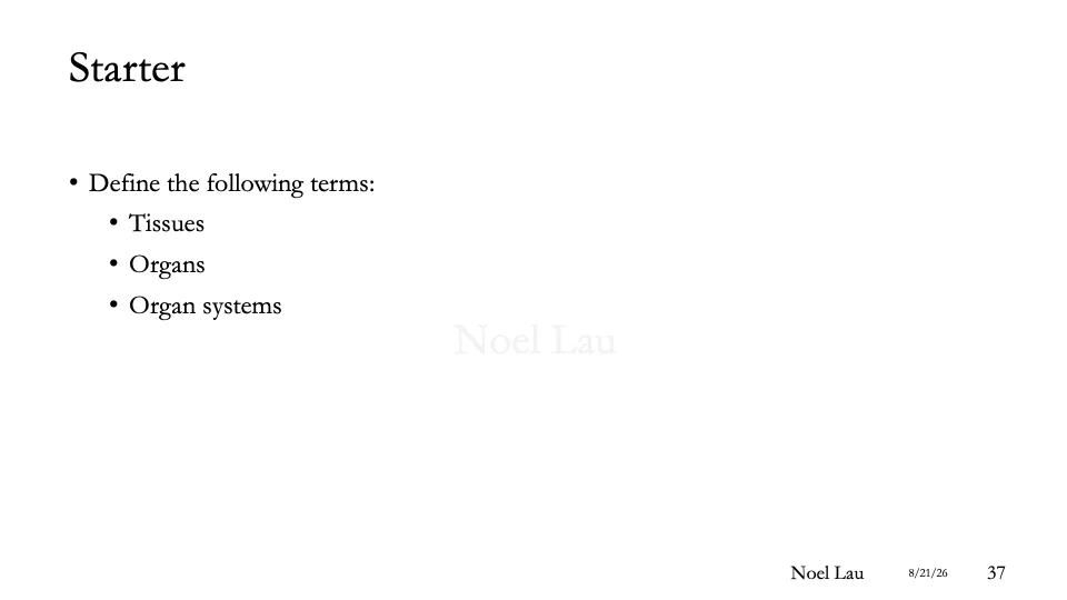 Slide 37