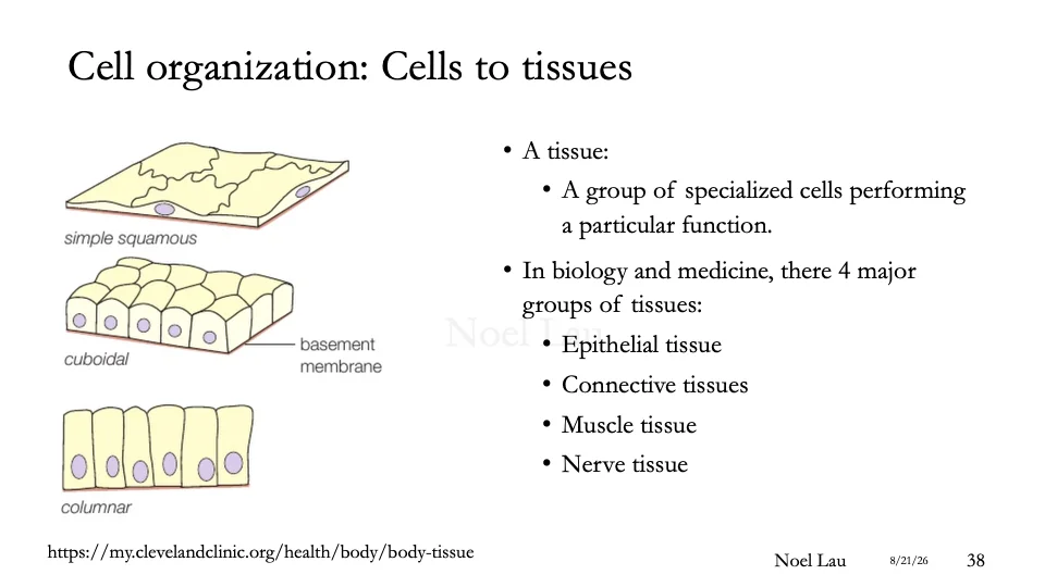 Slide 38