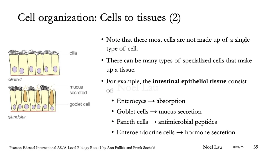 Slide 39