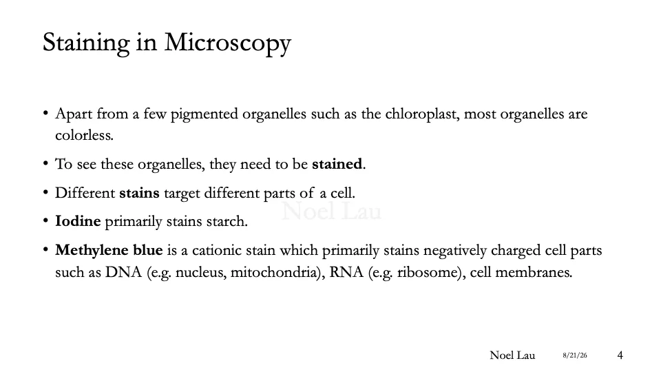 Slide 4