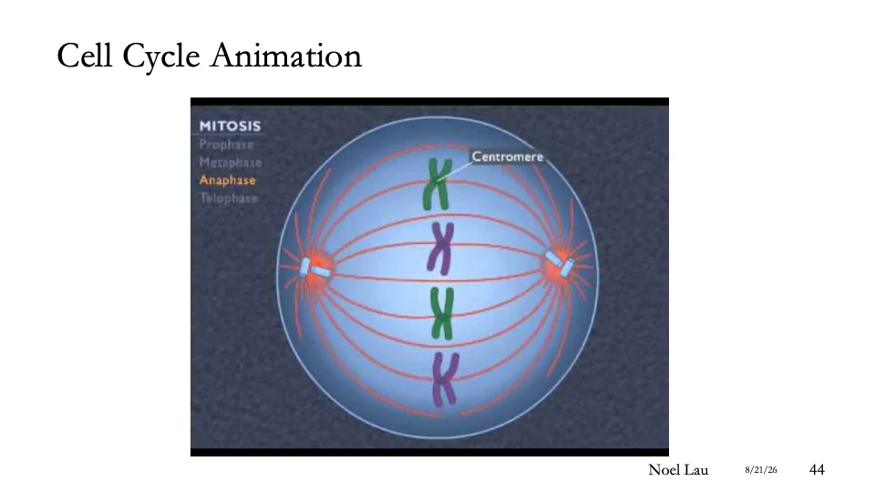 Slide 44