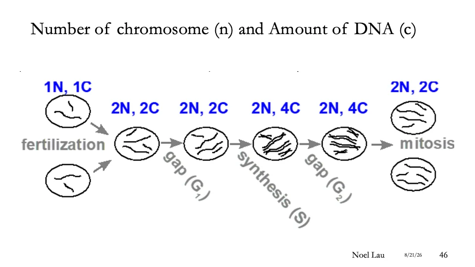 Slide 46