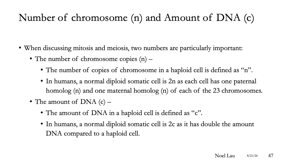 Slide 47