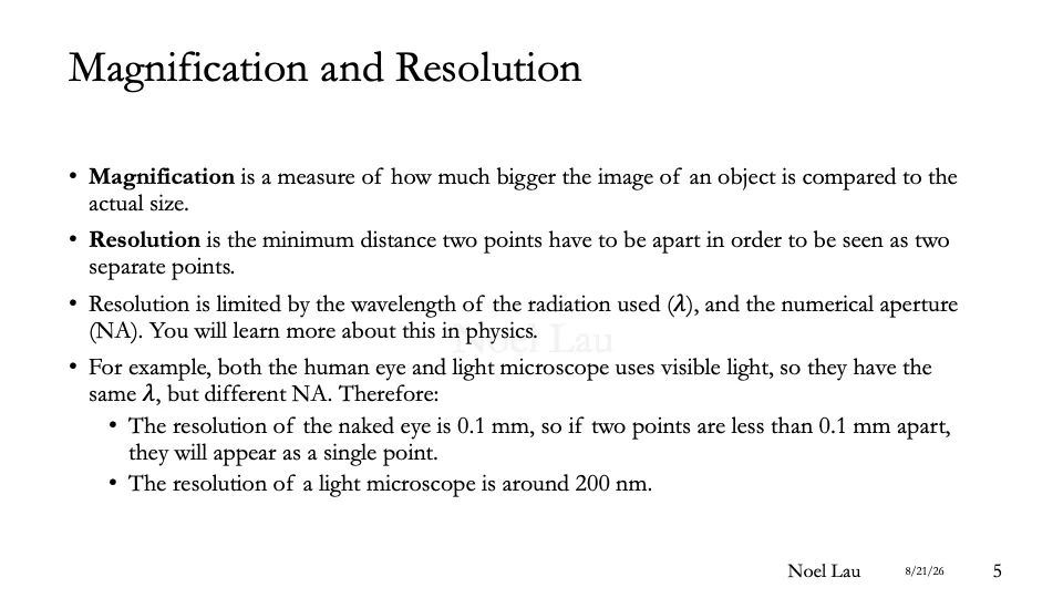 Slide 5