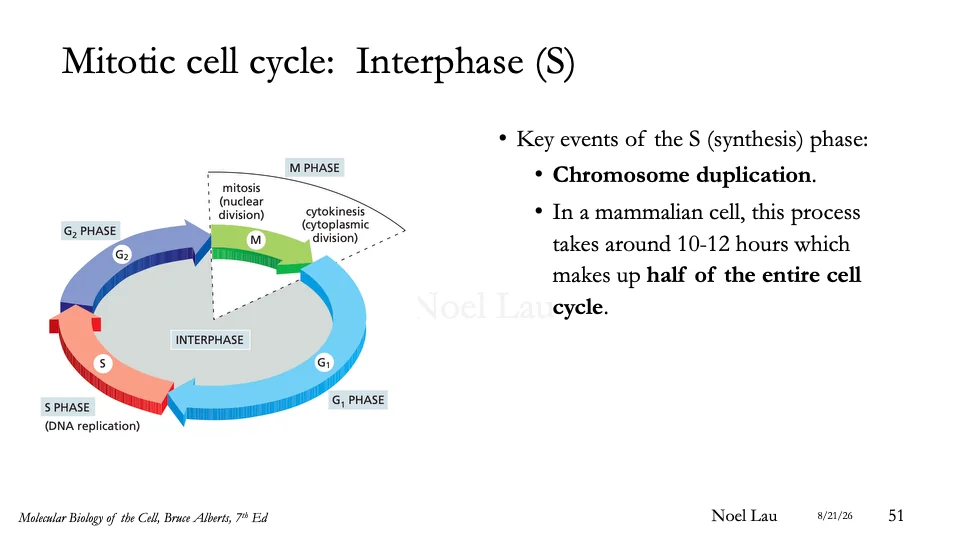 Slide 51