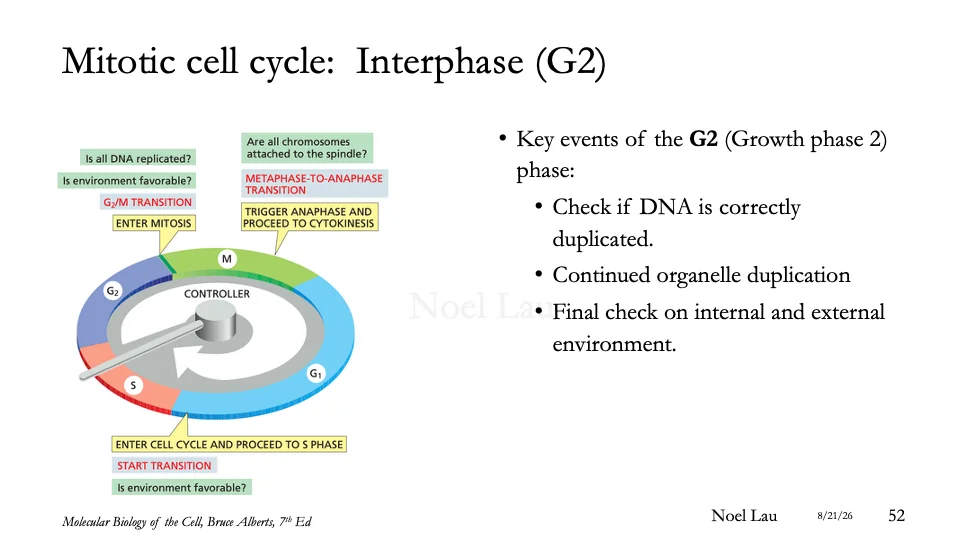 Slide 52