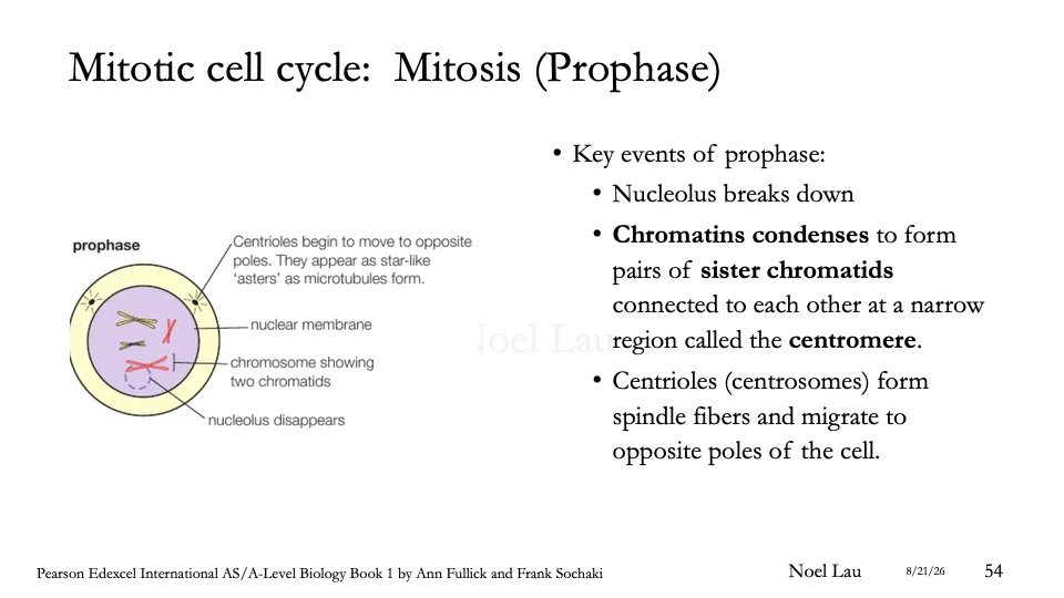 Slide 54