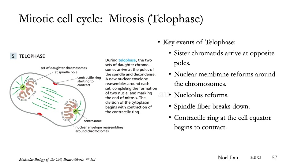Slide 57