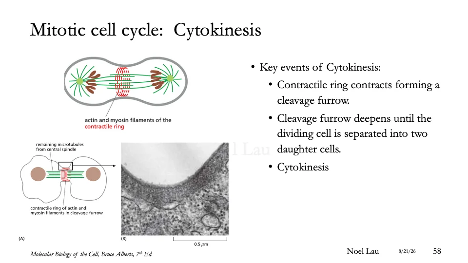 Slide 58