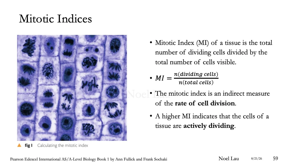 Slide 59