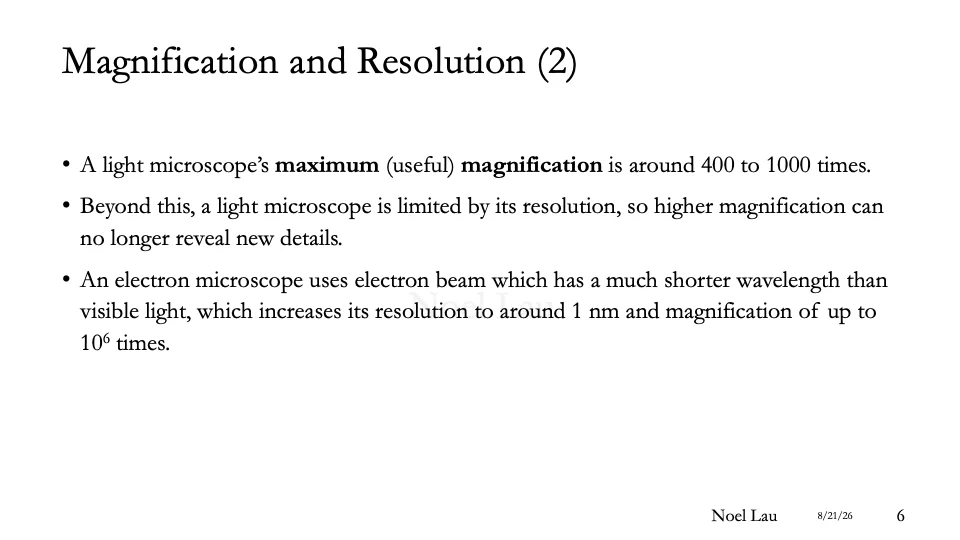 Slide 6