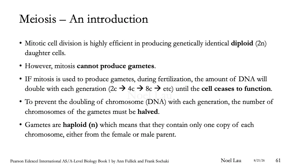 Slide 61