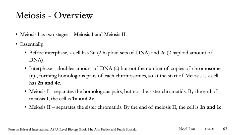 Slide 63