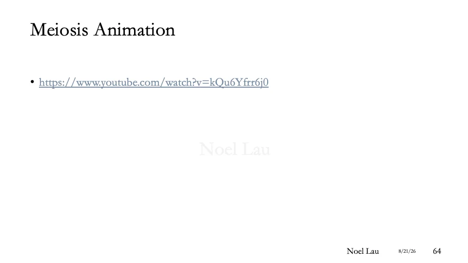 Slide 64