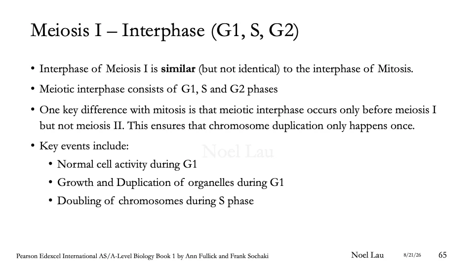Slide 65