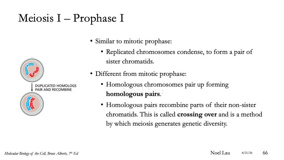 Slide 66