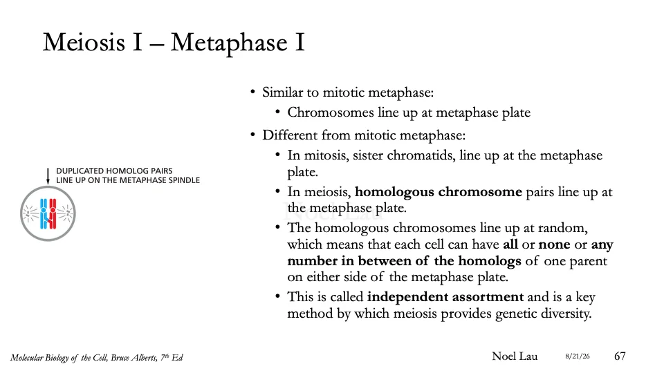 Slide 67