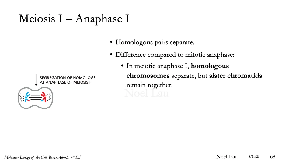 Slide 68