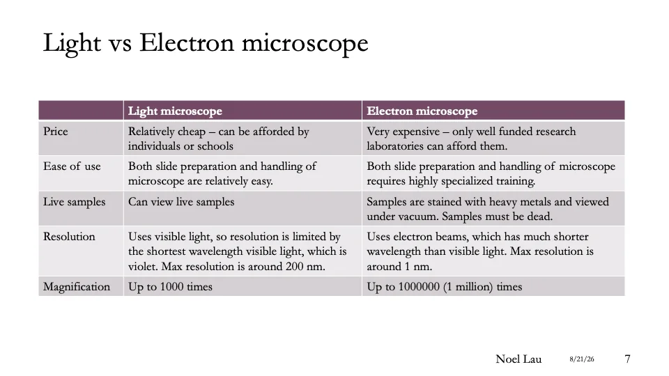 Slide 7