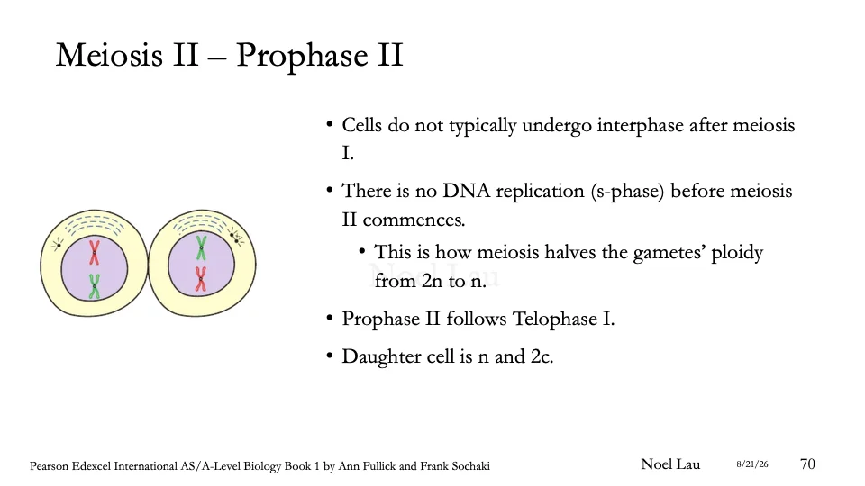 Slide 70