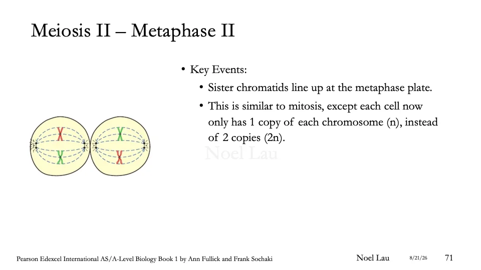 Slide 71