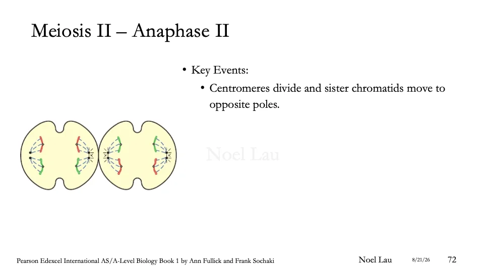 Slide 72