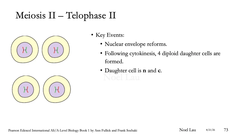 Slide 73